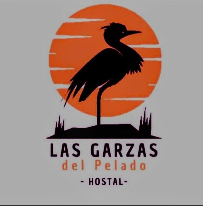 Hostal Las Garzas Del Pelado بلاياس المظهر الخارجي الصورة